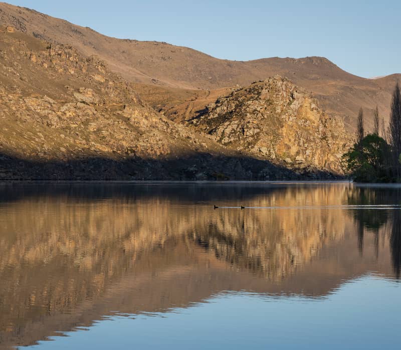 A mirror-like reflection of rugged, golden-brown rocky hills and tall poplar trees on the still surface of Lake Dunstan under soft afternoon light.