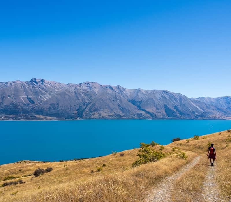 A lone hiker walks down a golden grassy trail on a steep hillside overlooking the deep turquoise waters of Lake Ōhau and a rugged mountain range under a clear blue sky.