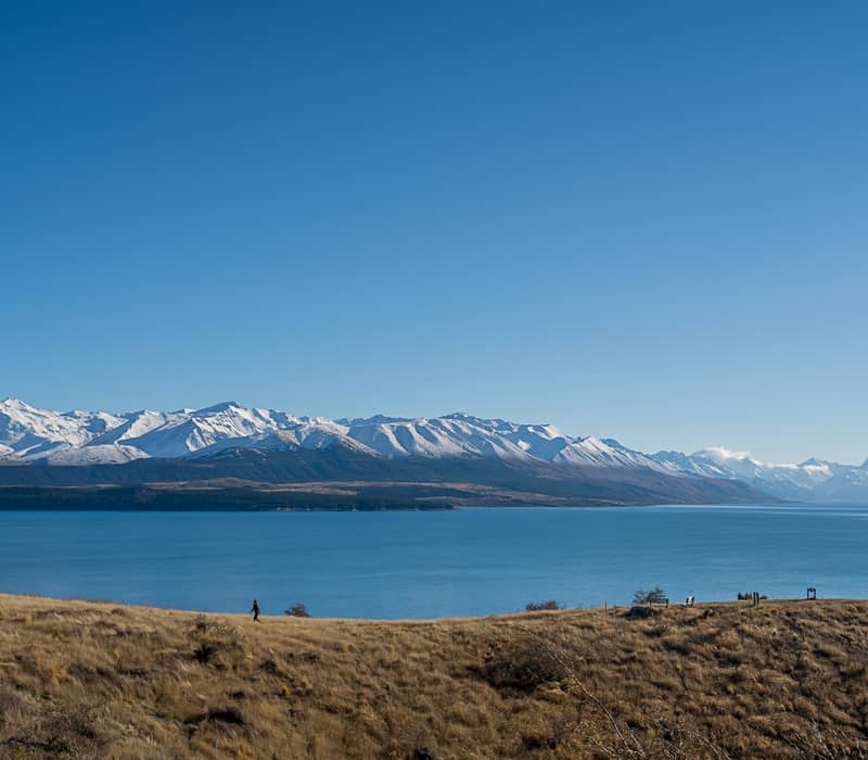 A wide panoramic view of Lake Pūkaki from the Kettle Hole Track, with a lone hiker on a golden tussock hill in the foreground and a long range of snow-capped mountains in the distance.