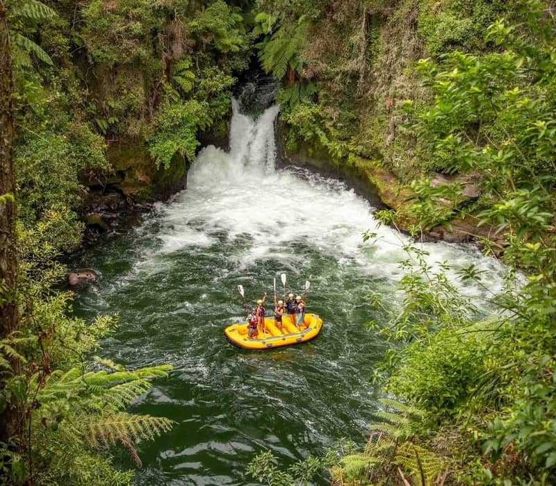 A group of rafters in a yellow boat cheer with their paddles raised in the dark green water at the base of a powerful white waterfall, surrounded by a dense canopy of New Zealand ferns and forest on the Kaituna River. Credit: Rotorua Rafting