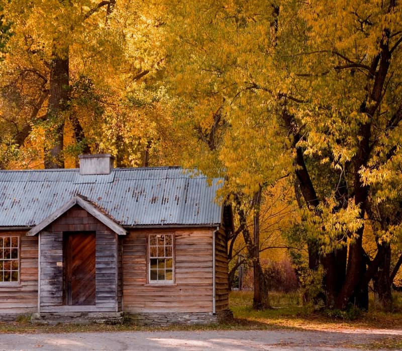 Wooden cottage surrounded by yellow autumn trees in a rural setting