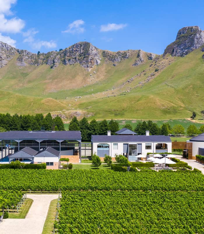 Vineyard estate with green grapevines, buildings, and rugged hills under a blue sky.