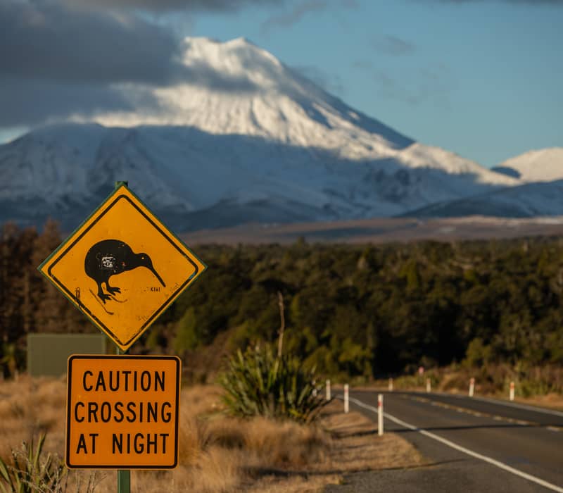 Road to Ruapehu 