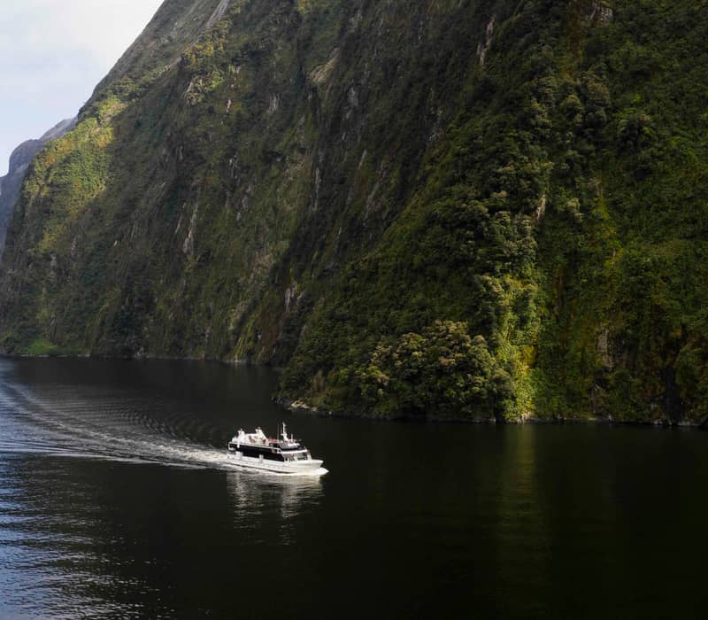 Cruise boat sailing on calm fjord water near steep green cliffs. Credit: Real Journeys