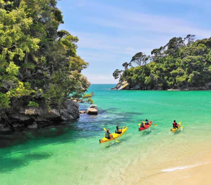 Four kayakers paddling in clear turquoise water near a sandy beach and forested coastline. Credit: Wilsons Abel Tasman National Park