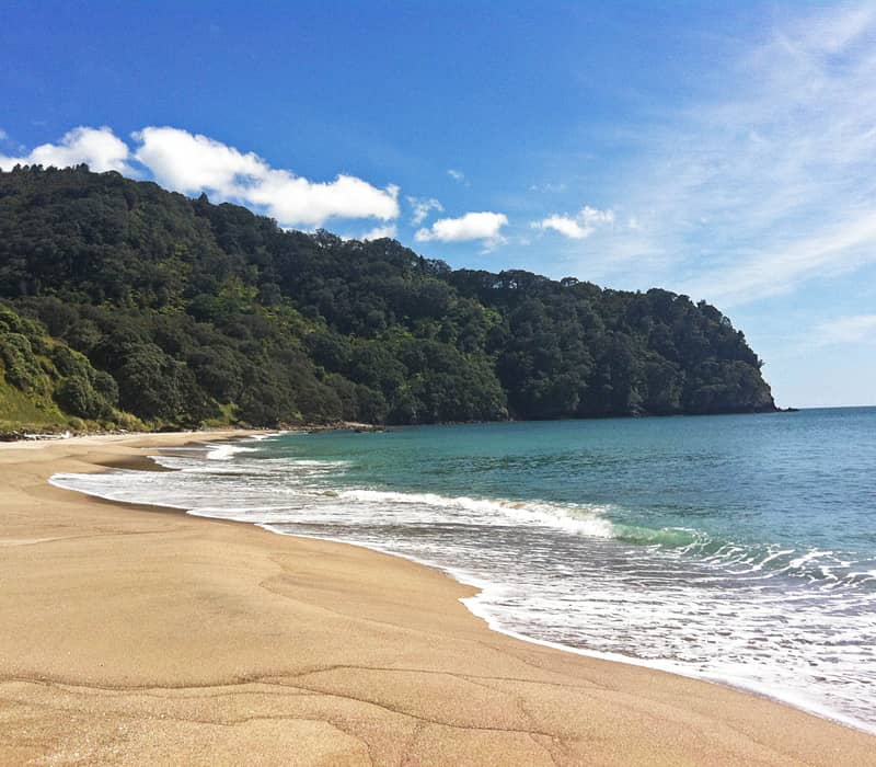 A wide, sunlit view of the golden sand beach and turquoise waves at Orakawa Bay, bordered by a dense, steep forest under a blue sky with light clouds.