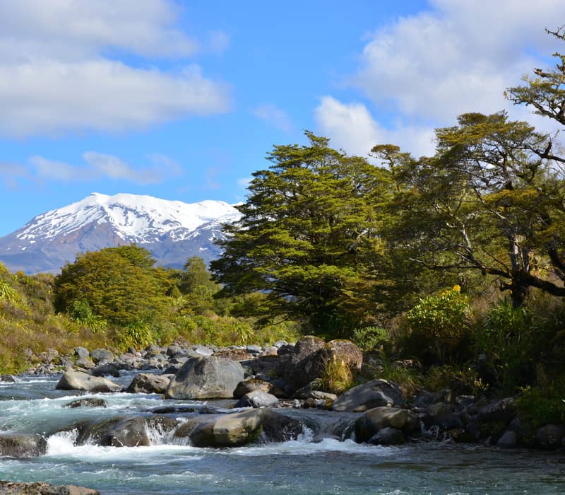 A wide view of a clear, rocky river with white-water rapids in the foreground, framed by lush green trees and a massive snow-capped mountain under a blue sky.