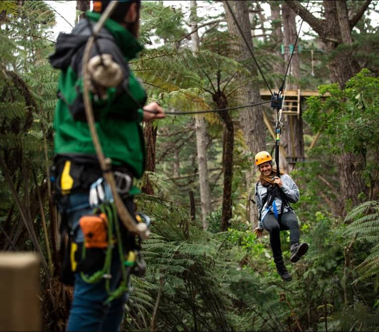 Person ziplining through a forest wearing a helmet and harness, with a guide in the foreground. Credit: Driving Creek Railway