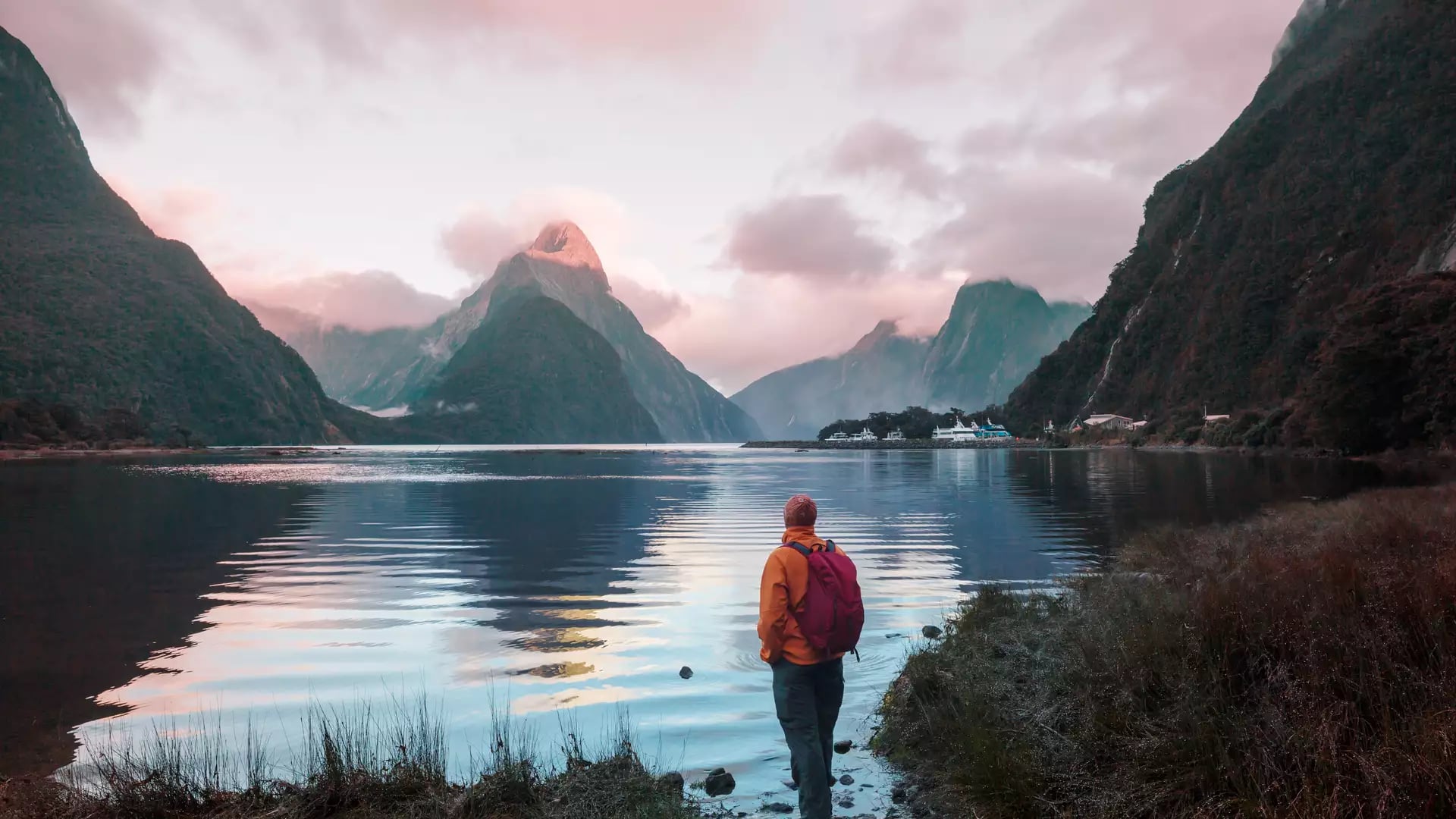 Walker looking at the pink sky sunset at Milford Sound Credit: Milford Sound