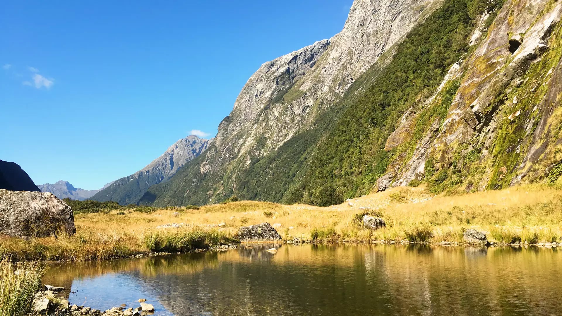 Clear lake reflecting rocky mountain slopes and green grass under a bright blue sky on Milford Track. Credit: Fine Tours Group