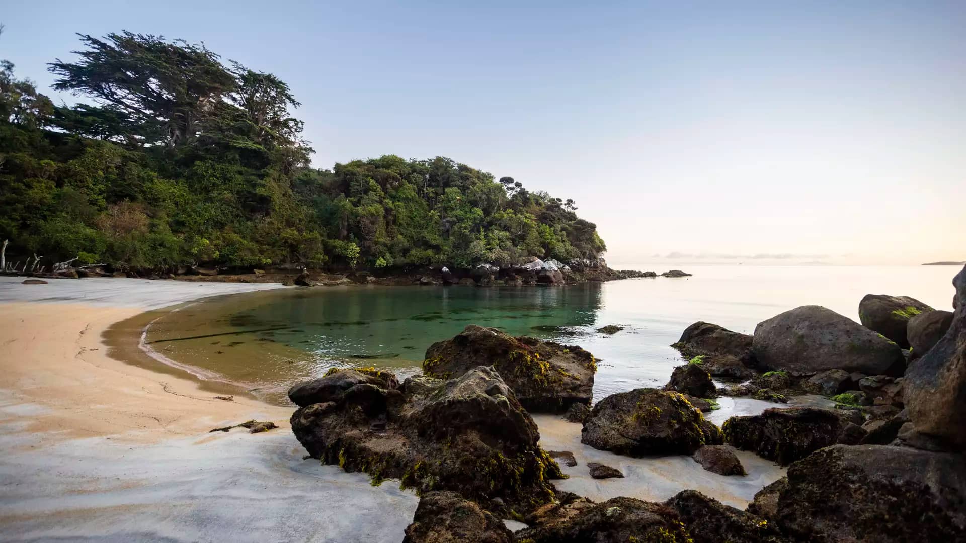 Clear bay with sandy beach, rocks, and green trees on Stewart Island at sunset.