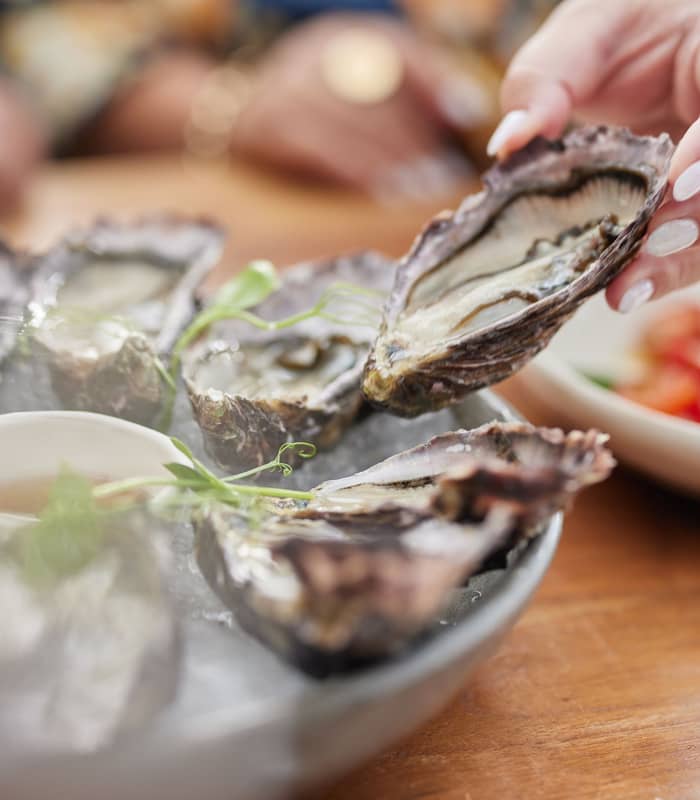 Hand holding a freshly shucked oyster over a plate of oysters on ice at Waiheke Island.