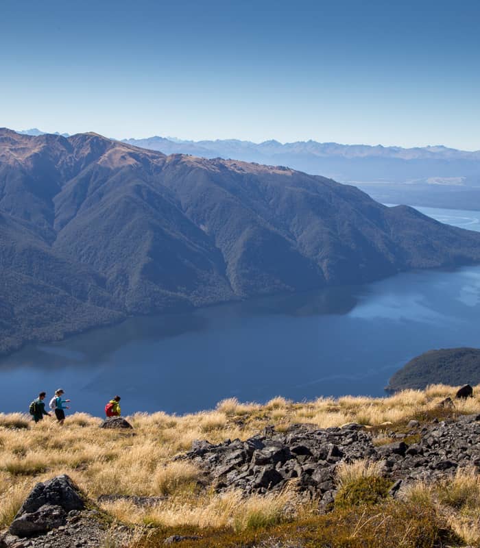 Hikers walking on grassy mountain slope above Lake Te Anau surrounded by mountains and clear sky.