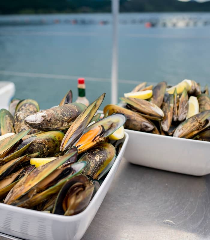 Trays of greenshell mussels with lemon wedges on a boat near the water.