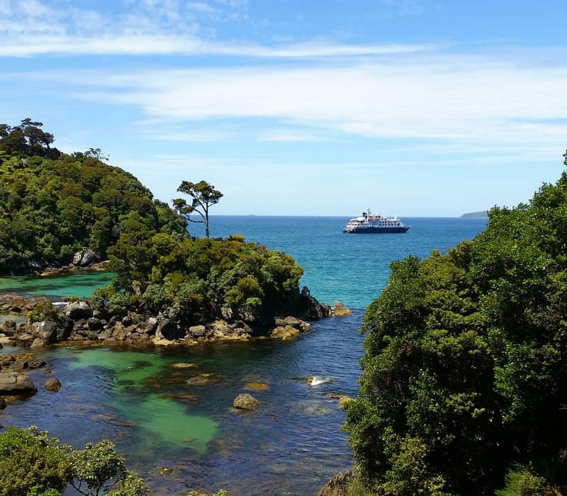 Lush green coastline and clear waters of Stewart Island with a boat visible on the ocean.